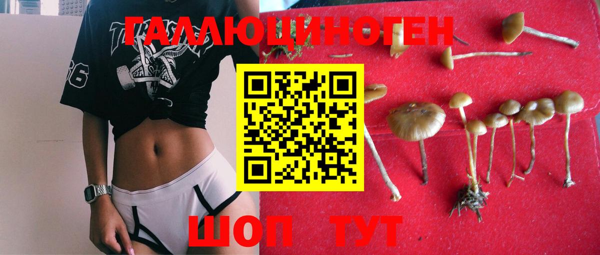 Галлюциногенные грибы GOLDEN TEACHER  продажа наркотиков  Соль-Илецк  Галлюциногенные грибы MAGIC MUSHROOMS  Вход с VPN 