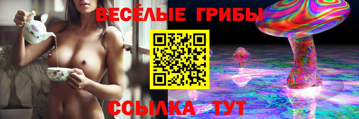 Псилоцибиновые грибы ЛСД Соль-Илецк